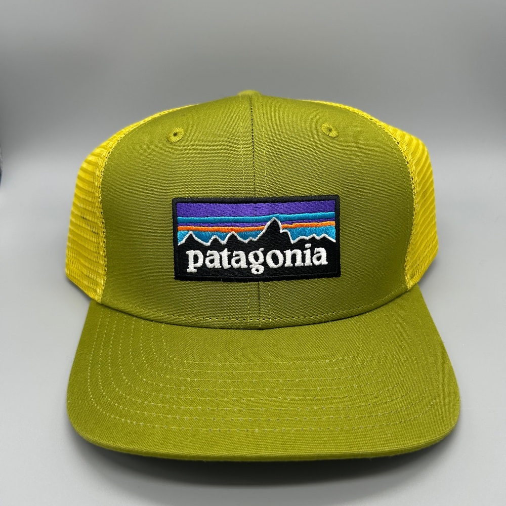 Patagonia P-6 Logo Trucker Hat Graze Green